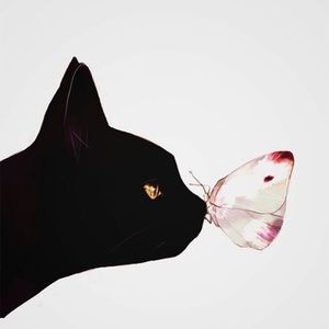 Meet your Posher, Elle